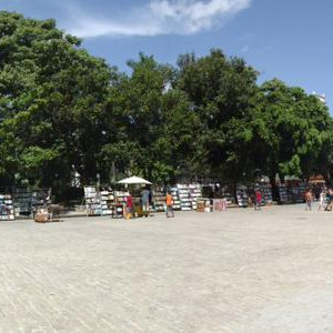 Havana 3