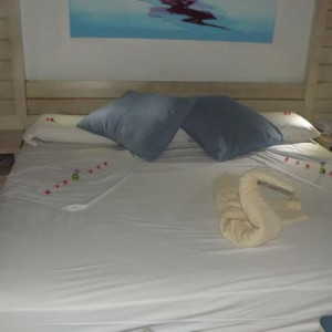 Quarto2