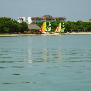 DSC08573