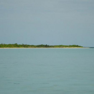 DSC08574