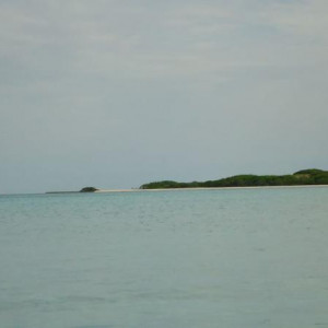 DSC08575