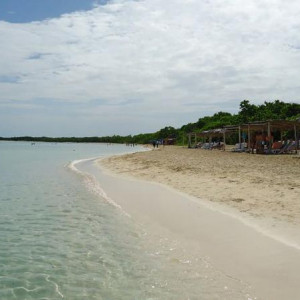 DSC08600