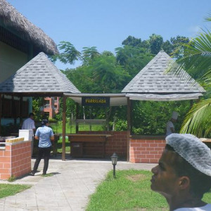 IMGP0184.JPG