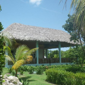 IMGP0187.JPG