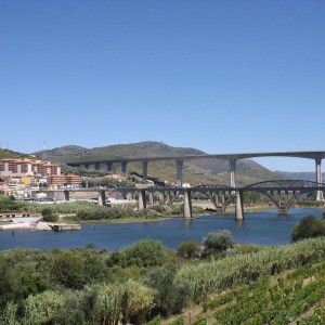 DSCF0590.JPG