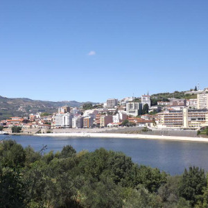 DSCF0591.JPG