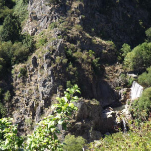 DSCF0595.JPG