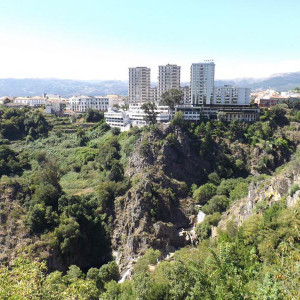 DSCF0596.JPG