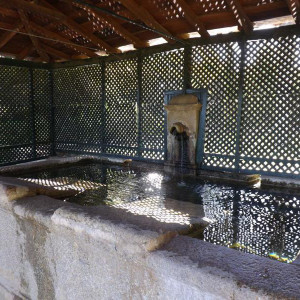 DSCF0618.JPG