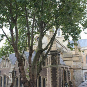 1 Southward Cathedral