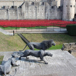 2 Tower Of London