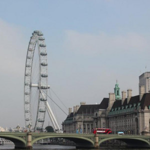 11 Vista Country Halll E London Eye