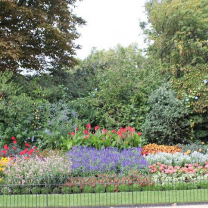 33 St James Park