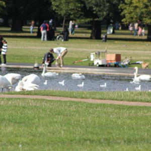 45 Hyde Park Keysington Palace.jpg