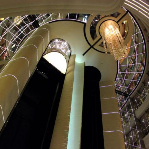 msc
