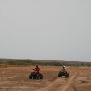 IMG 9451