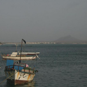 IMG 9532