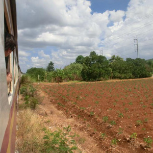 CIMG3625   Cópia