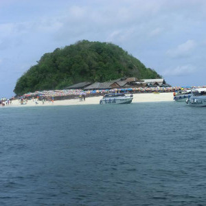 CIMG3863   Cópia
