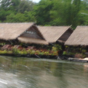 DSC00476 - Cópia.JPG