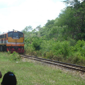 DSC00632 - Cópia.JPG