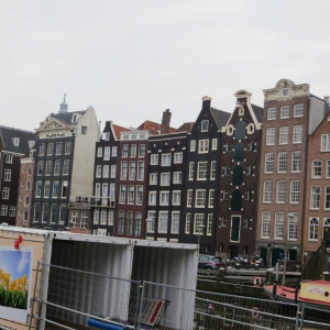 IMG 6795