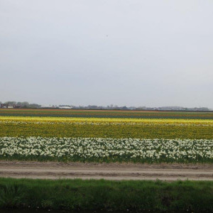 IMG_6907.jpg
