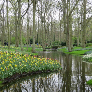 IMG_6990.jpg