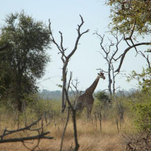HlaneRoyalPark  (11)