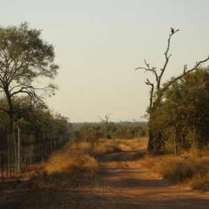 HlaneRoyalPark  (32)