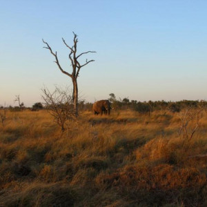 HlaneRoyalPark  (47).jpg