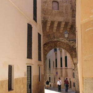 IMG 0408