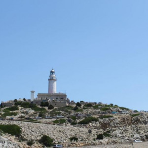 IMG 0594