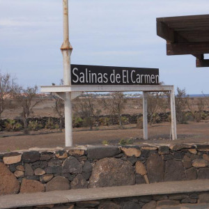 Salinas