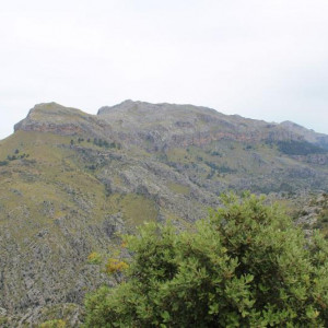 IMG 0669