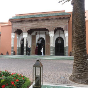 IMG 4556