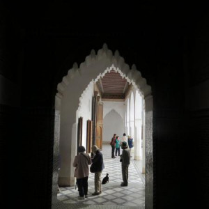 IMG 4002