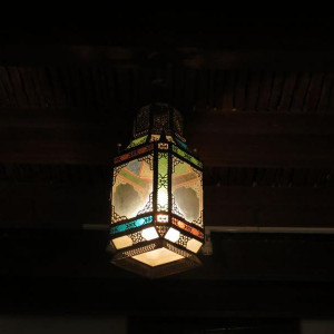 IMG 4071