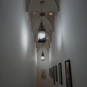 IMG 4259