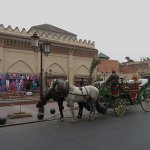IMG_4545.JPG