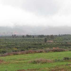 IMG 4680