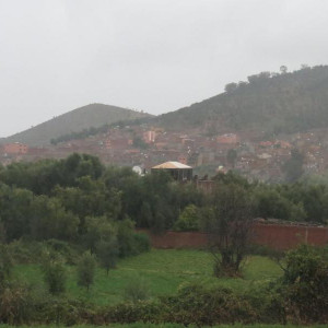 IMG 4693