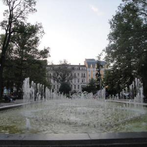 DSC06566