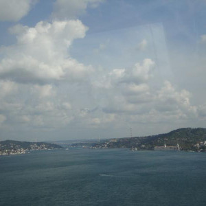 DSC06355