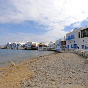 14Mykonos LittleVenice