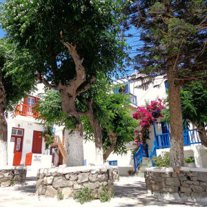 24DSC03423Mykonos