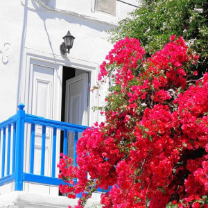 32Mykonos