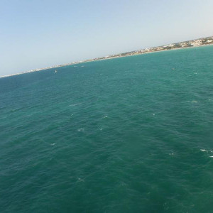 DSCF5133