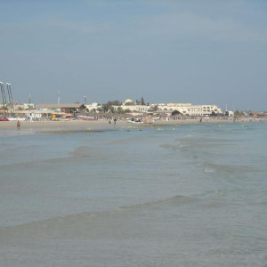 DSCN1194