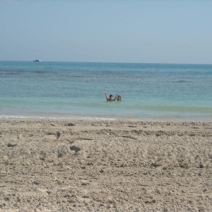 DSCN1200